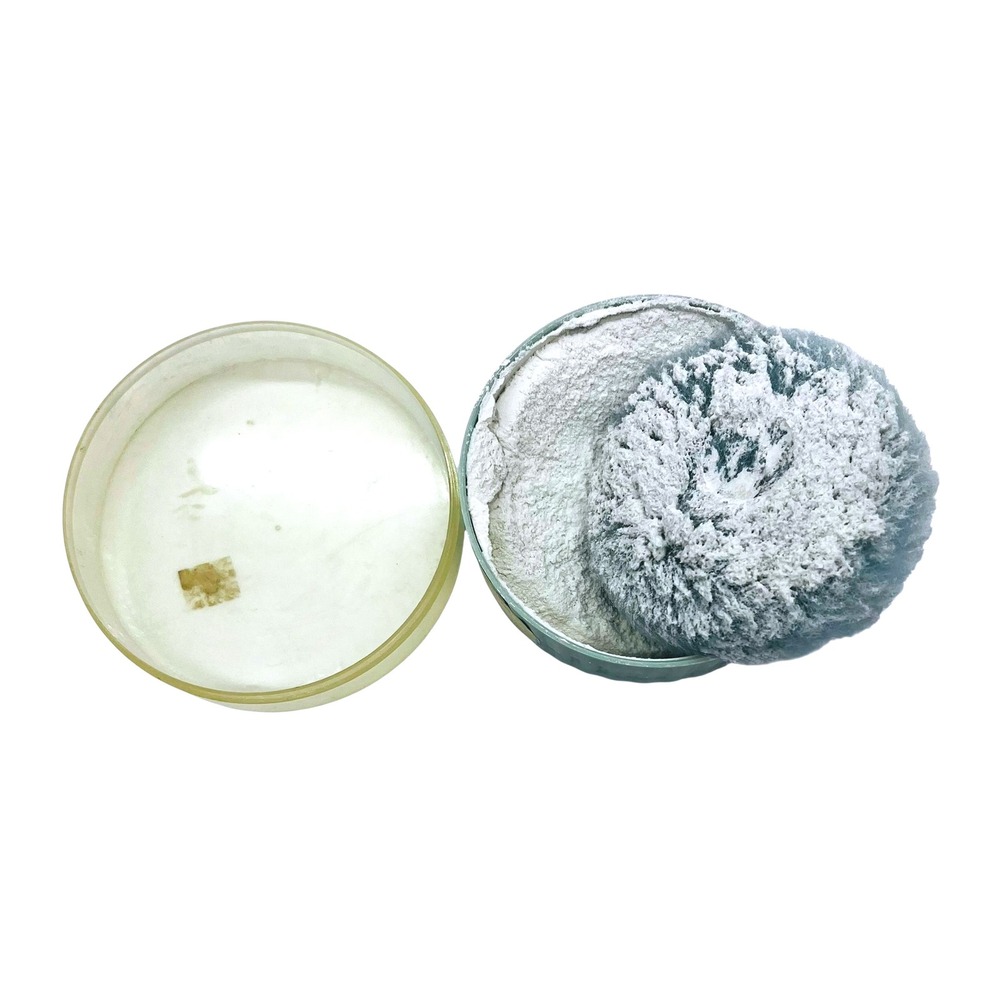 Vintage Delegar Spring Fresh Perfumed Dusting Powder #5 Talc Fragrance USA - Picture 2 of 5